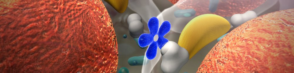 A Danca Hormonal Dentro Do Seu Corpo Ketones Glucose Insulin E Cortisol