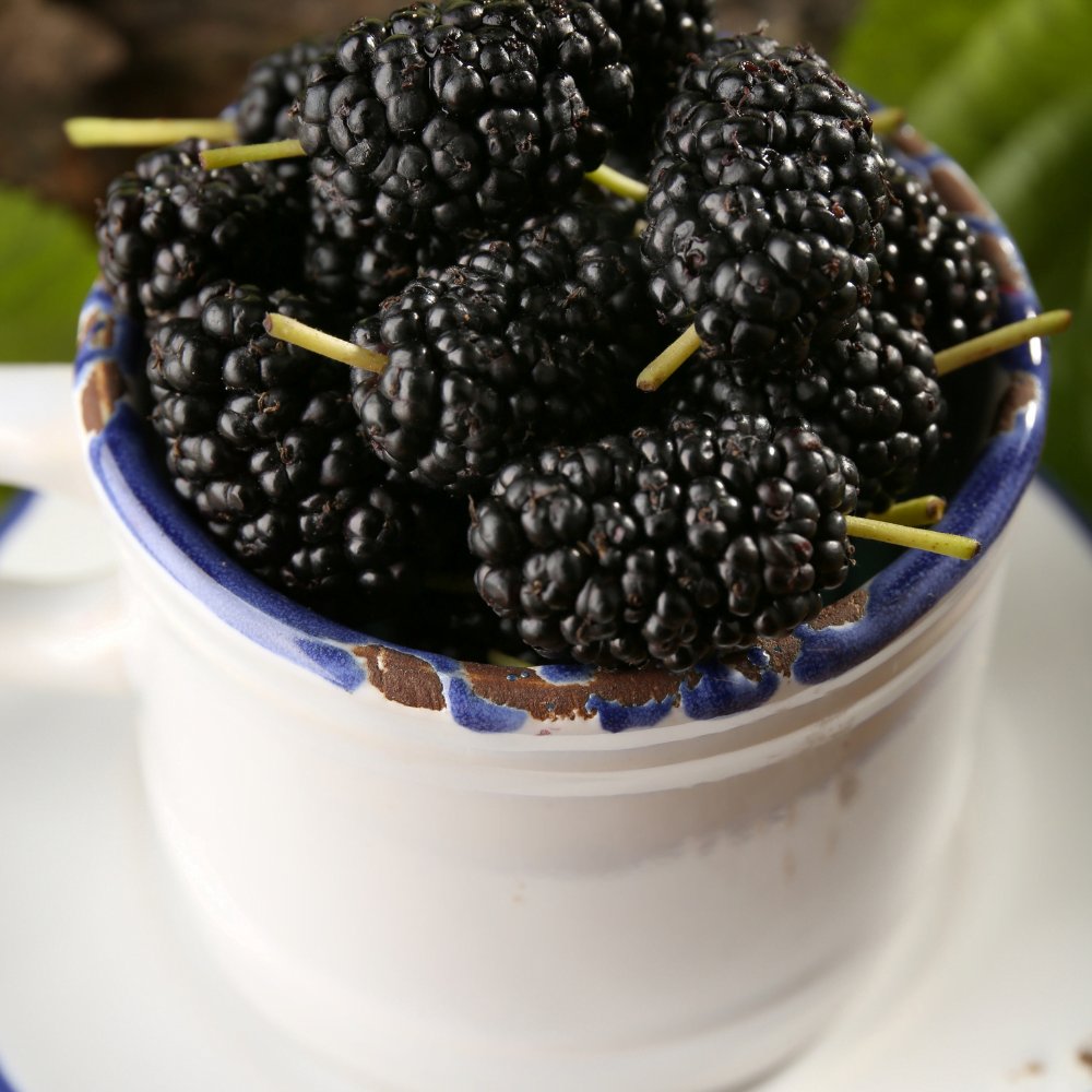 As 10 Melhores Frutas Lowcarb