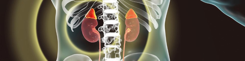 eating-3h-3h Comer Frequentemente Ou Fazer Jejum Entenda Qual E A Melhor Estrategia Para Sua Saude E Bem Estar